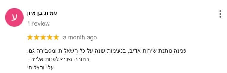 מקדמת אתרים אורגנית